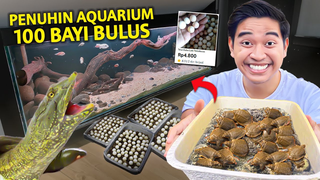 100 TELUR BULUS DARI TOKO ONLINE MENETAS SEMUA! PENUHIN AQUARIUM SAMA BAYI BULUS!