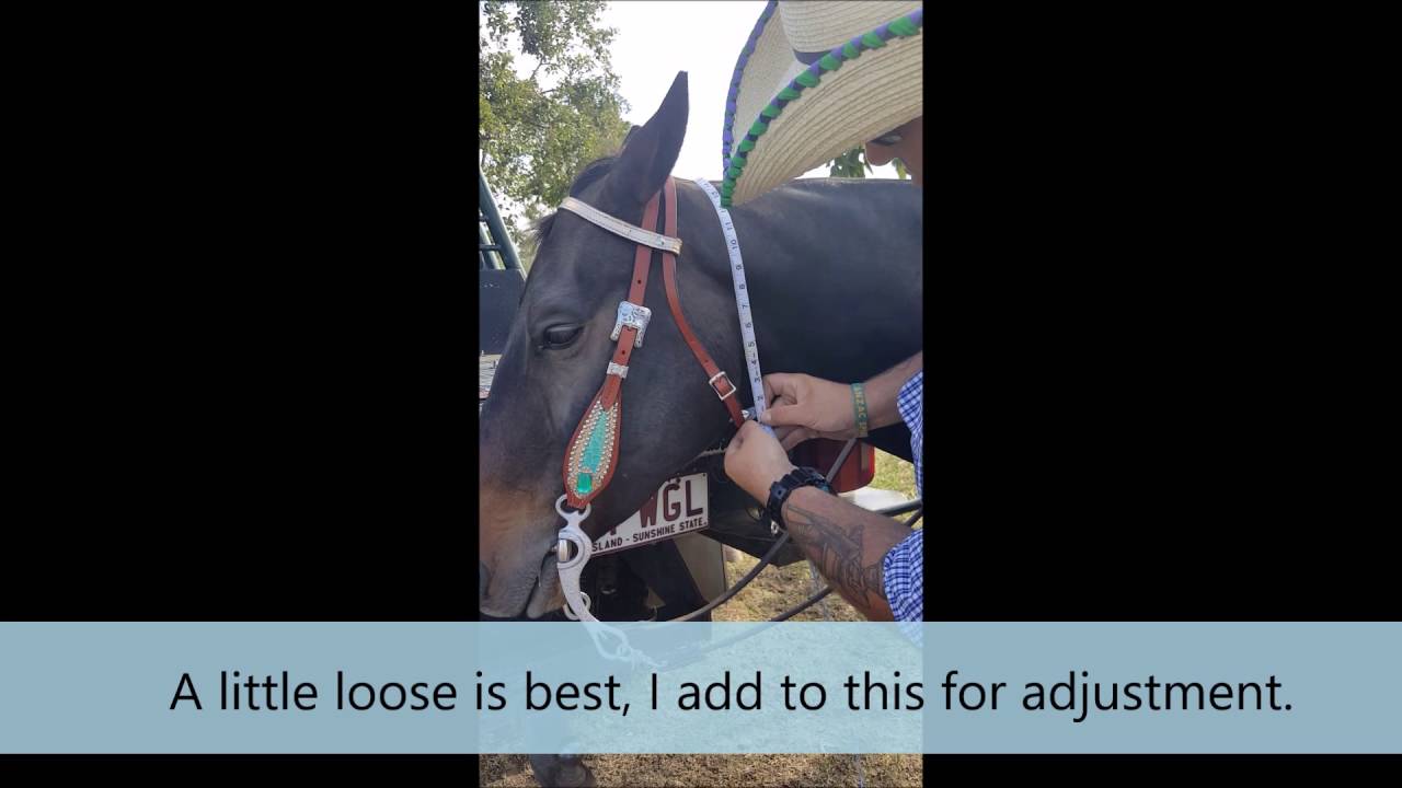 How to measure for a browband style bridle.