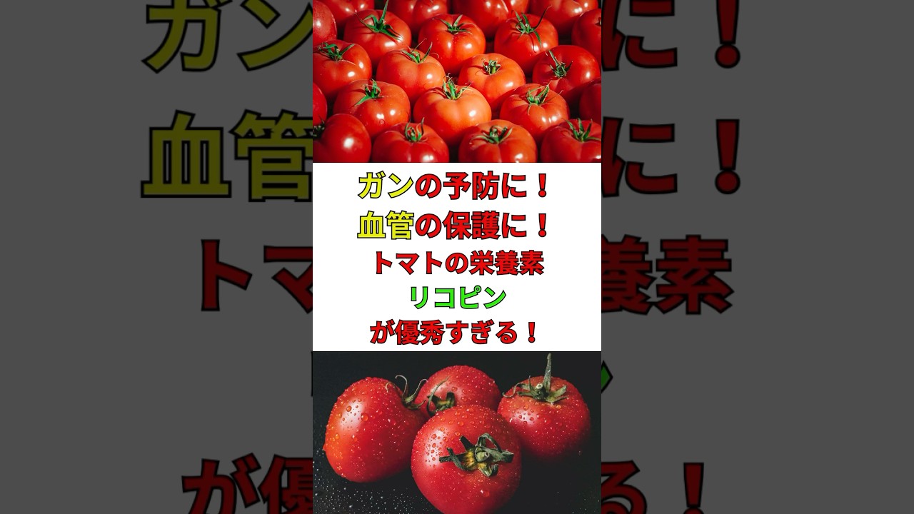 リコピン　#トマトの効果 #リコピン  #中高年健康 #抗酸化作用 #トマト生活  #ガン予防　 VOICEVOX