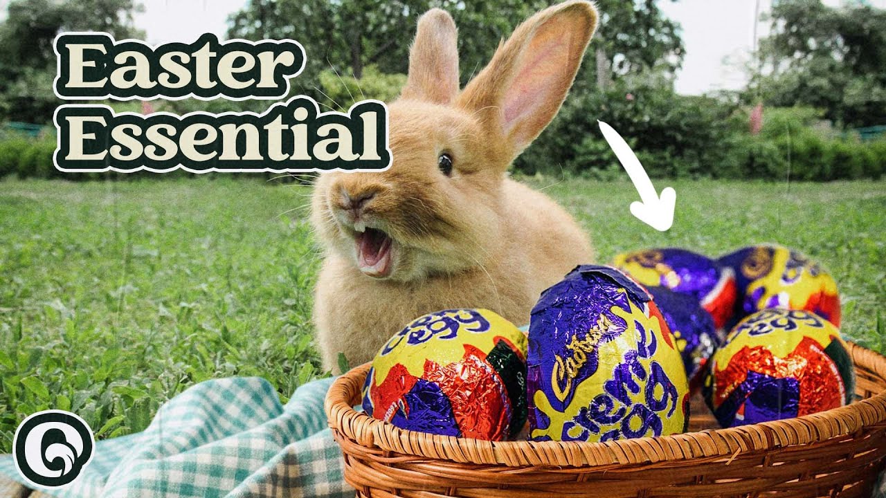 Cadbury Creme Egg: Love or Loathe?