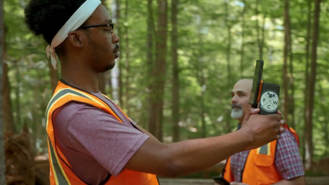 Discover the Benefits of Enrolling with Forest Carbon Works