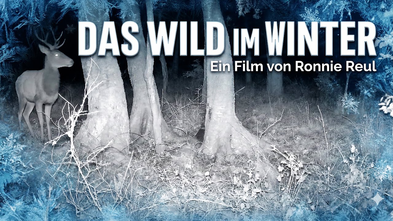 Das Wild im Winter