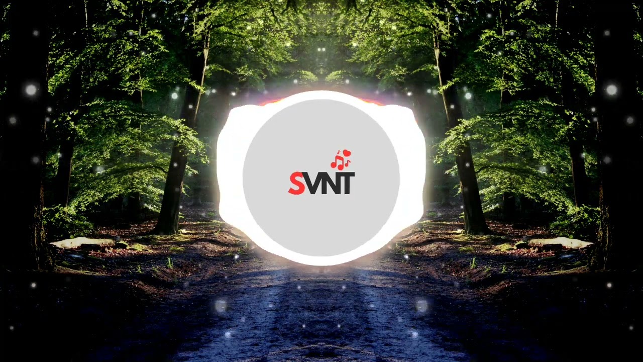 SVNT - Lost in the Low End