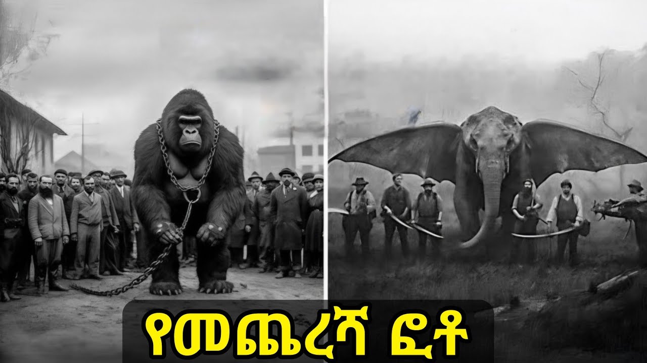 ከምድረ ገፅ ላይ የጠፉ አሳዛኝ  እንሰሳት ከመጥፉታቸው በፊት የተገኙ ምስሎች /The Last Photos of Animals Before Extinction