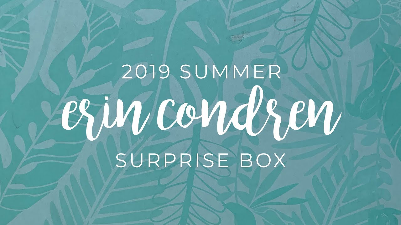 2019 Erin Condren Summer Surprise Box