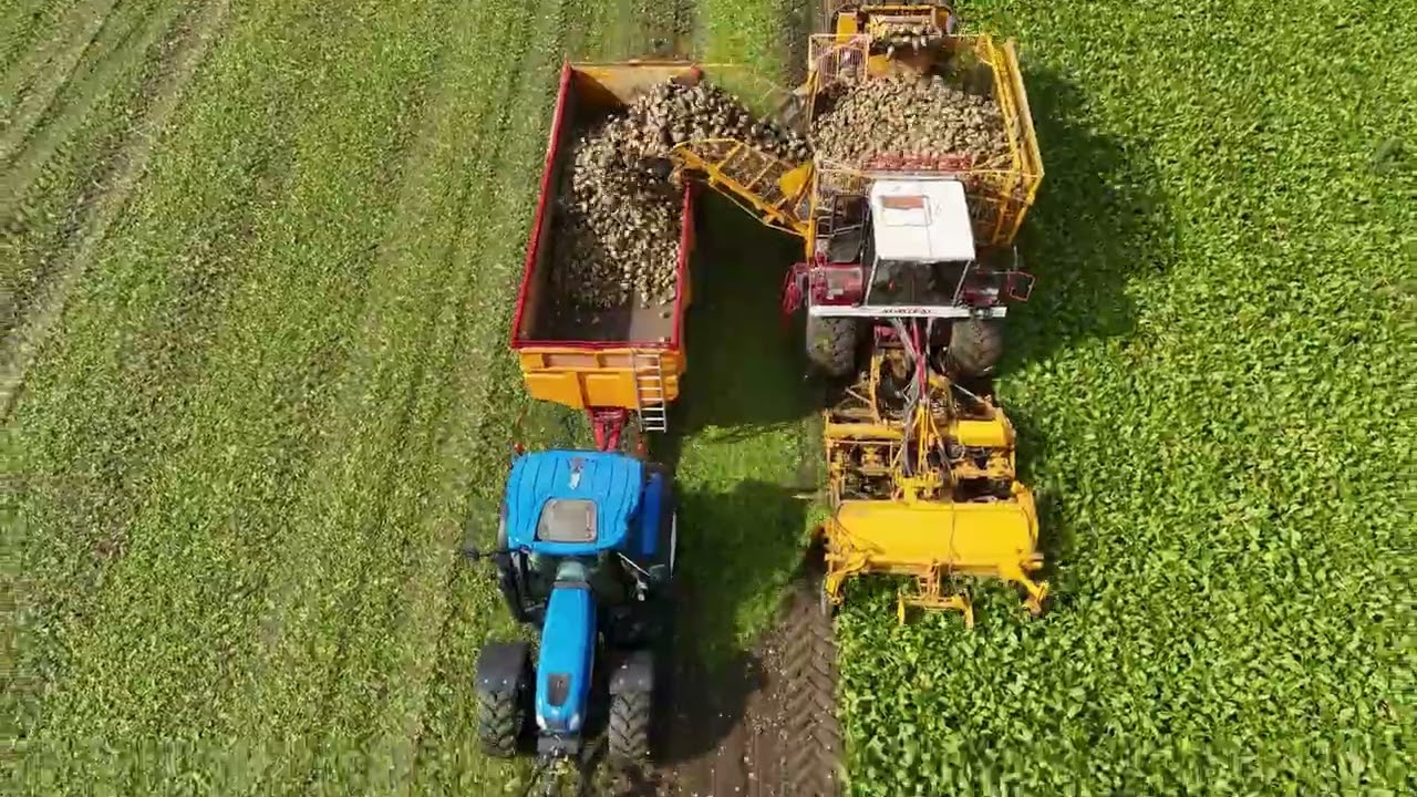 be feunekes bieten rooien agrifac