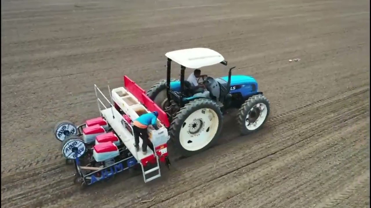 Atider Maiz de Alto Rendimiento.- avances en Agro Insumos Capital, Aragua Venezuela junio 20 2022