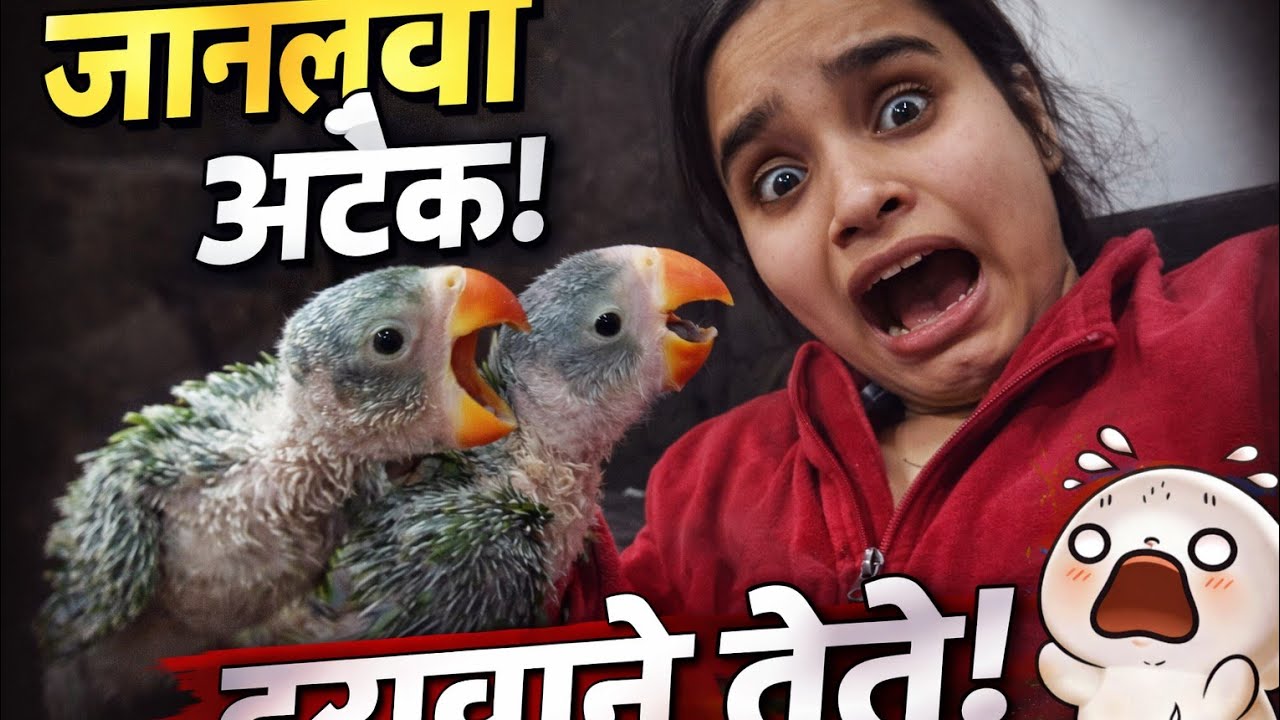 Titu Katori ne kya kara 🤷‍♀️.. #youtubeshort #vlogging #vlogger #shortsvideo #support #love #daily