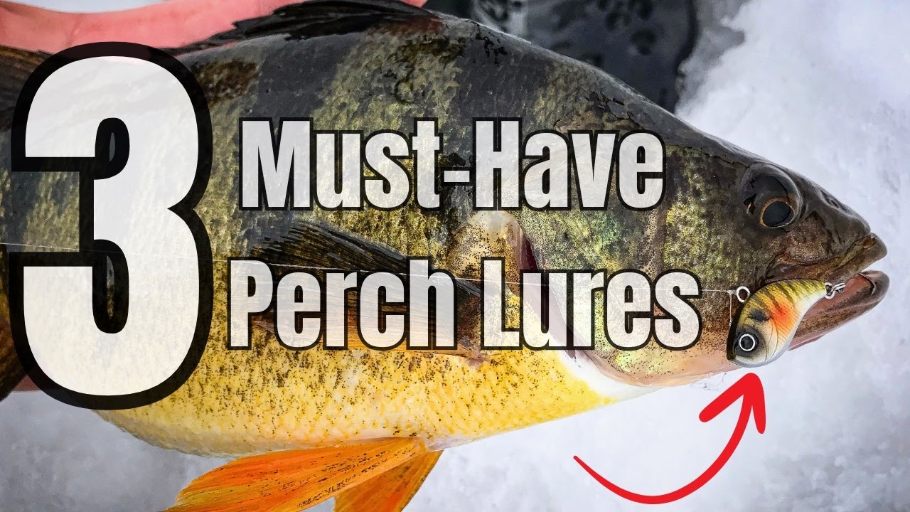 The ONLY 3 Lures You Need to Catch Perch ANYWHERE!