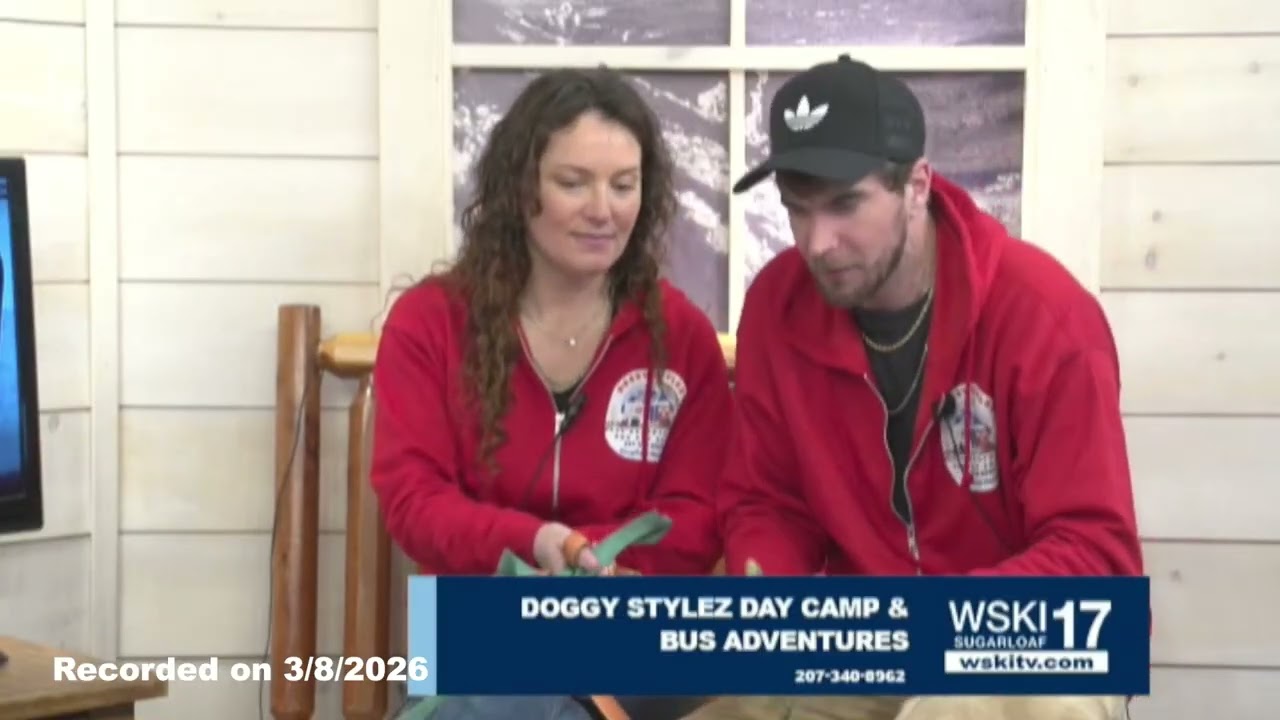Doggy Styles Day Camp and Bus March8th 2026 1 of 2