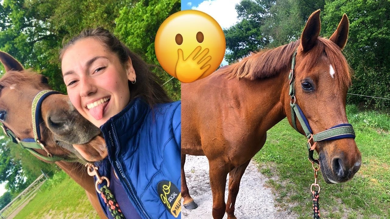 Abi is ZO DIK geworden + rijden gaat zo goed! | VLOG 79