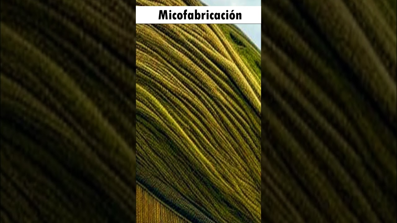 Micofabricaci&oacute;n. Construir con Hongos.