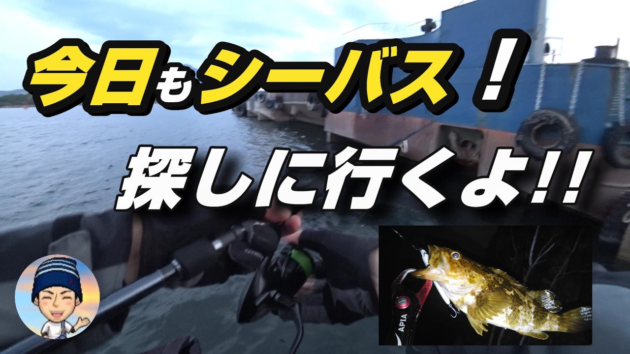 【今日もシーバス！探しに行くよ！！】シーバス 湾奥釣行 @330　 #釣具 #fishing  #釣り