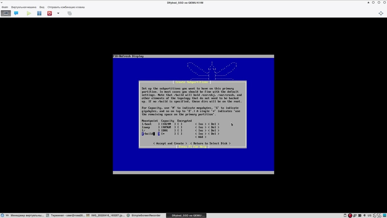 Установка DragonFlyBSD на SSD через виртуальную машину