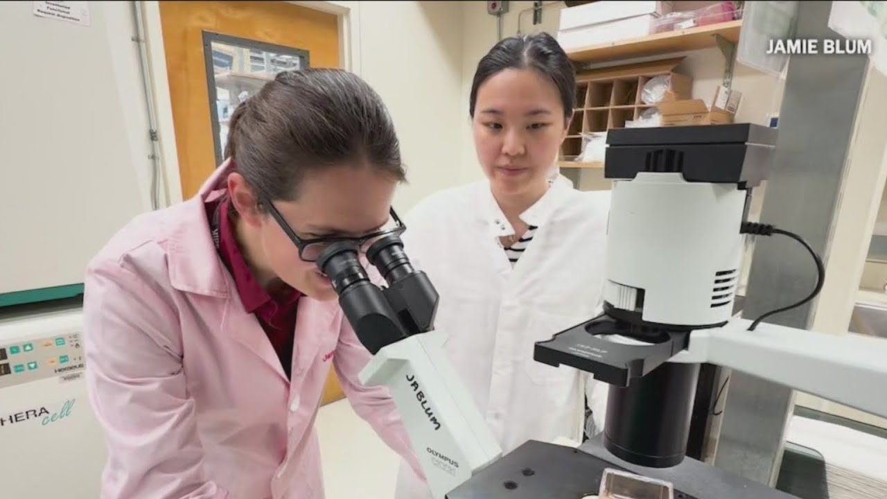 New research on food allergies