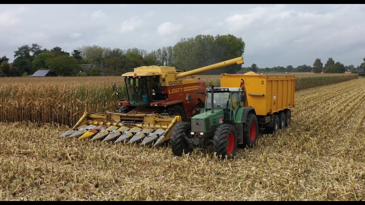 Mais dorsen | New Holland L627 | Fendt 824 | Threshing maize | Mais op 37,5cm | Berkers Deurne