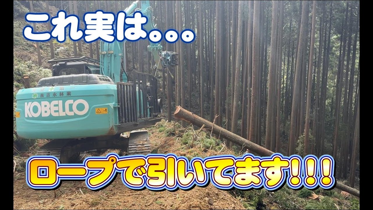 繊維ロープってほんとに強いの？？　　　　　　　　　　＃株式会社吉永林業＃山師＃諸塚村＃宮崎県＃林業＃林業機械＃繊維＃ロープ＃KOBELCO＃スイングヤーダー＃高性能＃テザック＃スギ＃伐採＃ハスクバーナ