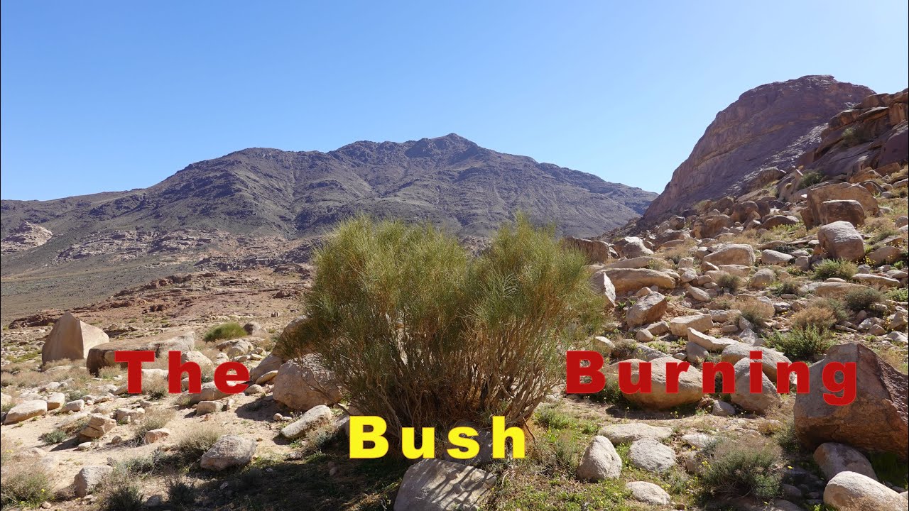 The Valley Between Mt Horeb and Sinai