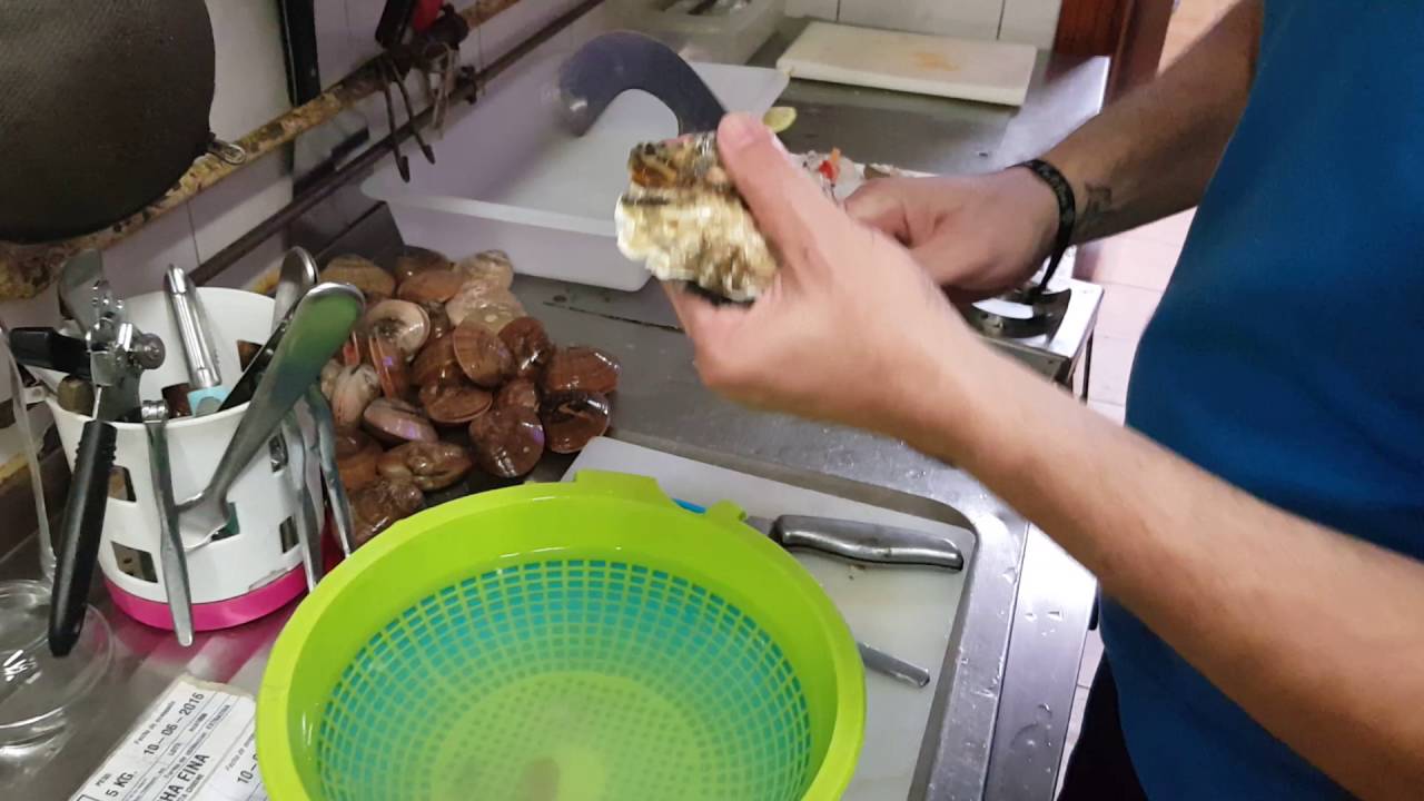 Ostras, Escupiñas y Conchas Finas. Preparación y limpieza para su consumo. Tutorial.