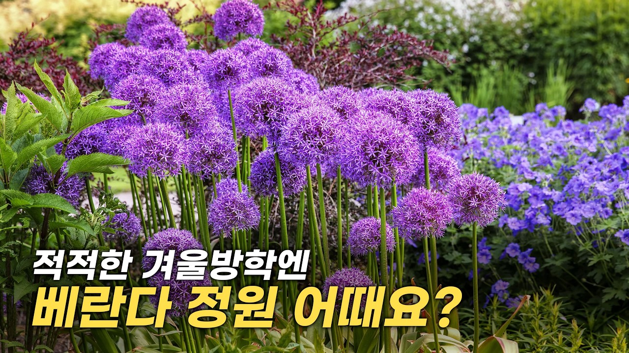 겨울 베란다⛄ 분위기를 바꿔 주는 포인트는 이거 하나 차이에요🌷