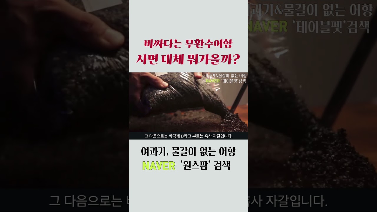 무환수어항 사면 오는 실제구성(바닥재3종, 수초, 물??)