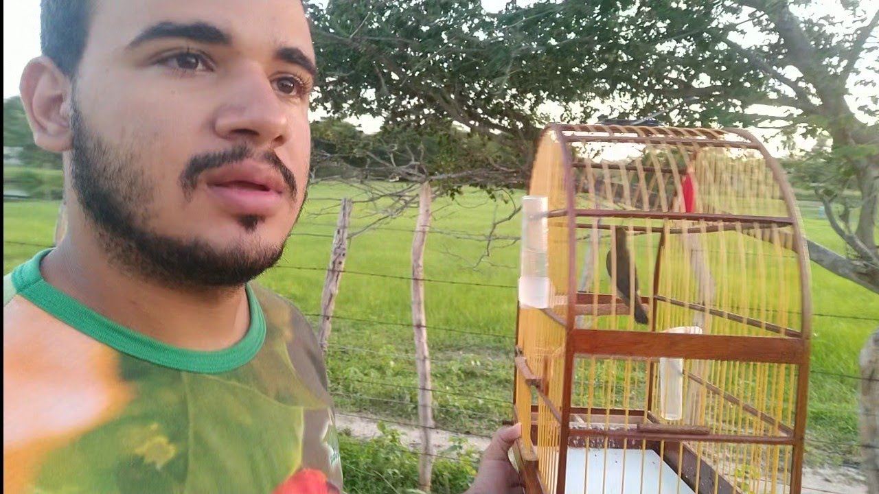 CAMPEADA DE BIGODEIRO