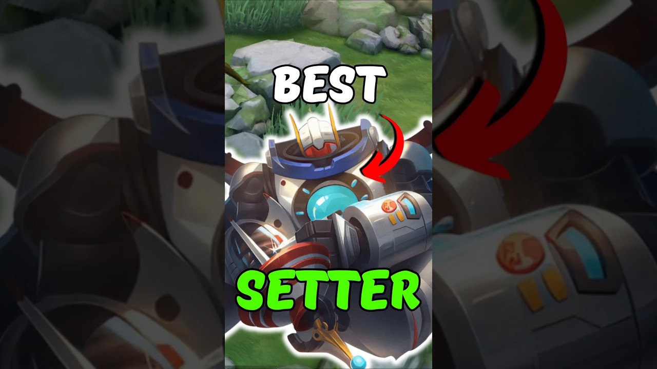 These tanks are best for set!