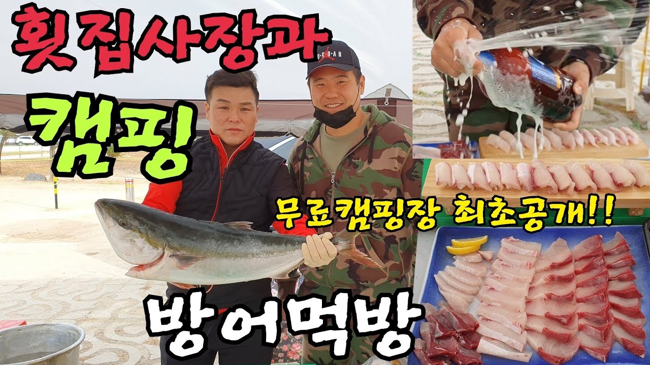횟집사장과 캠핑 가면 벌어지는일!!!! 방어먹방!!단양 무료캠핑장 최초공개!!
