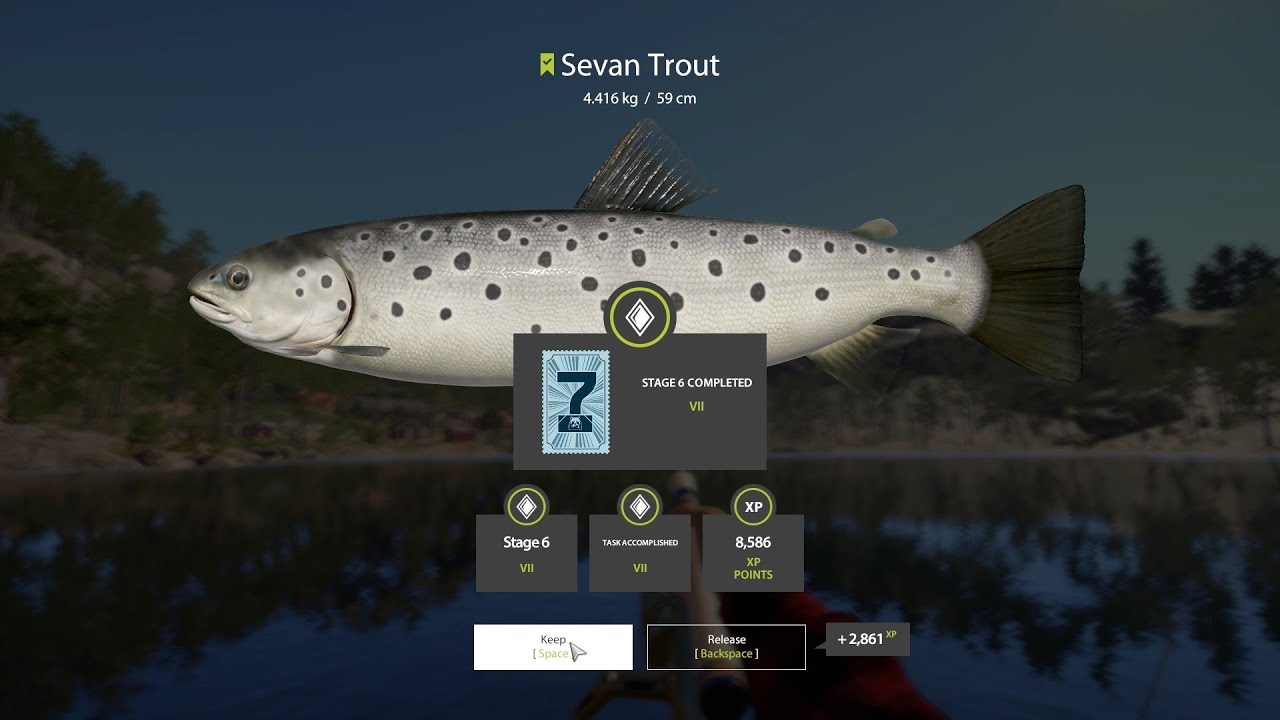 Russian Fishing 4 - Sevan Trout | Stage 6