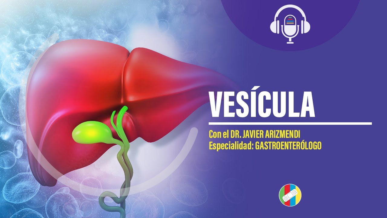 La ves&iacute;cula.