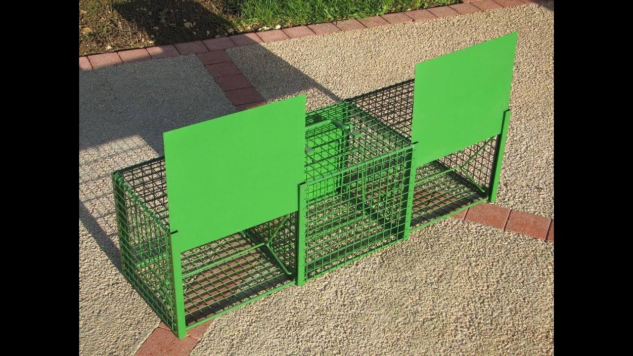 piège à pies