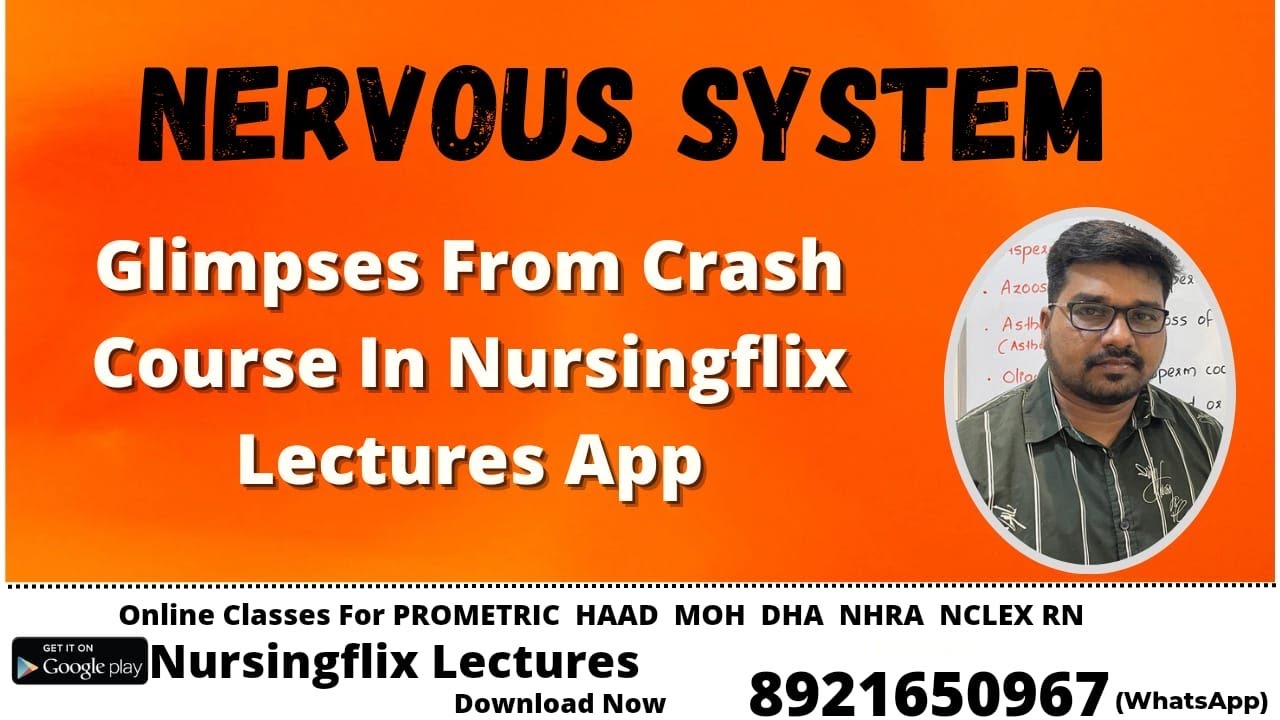 Nervous System l Key points From Crash Course(English) In Nursingflix Lectures App l Play store