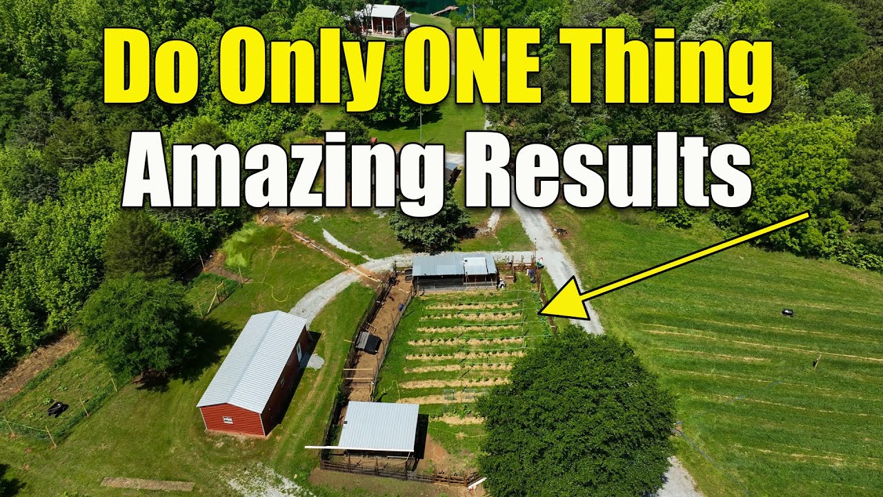 We Only Use One Thing for Amazing Vegetable Gardens