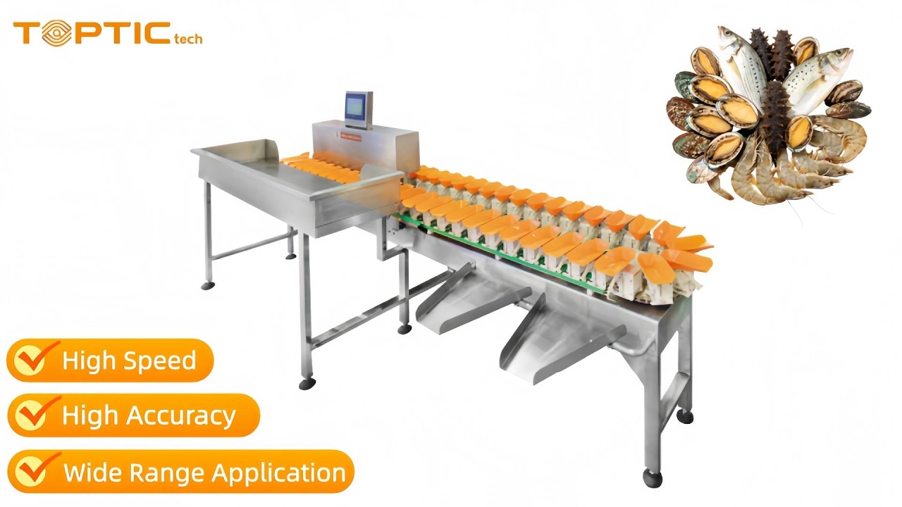 Automatic Multi-weight Sorting Machine for Fish,Abalone,Squid,Mango,Avocado,Potato and so on.