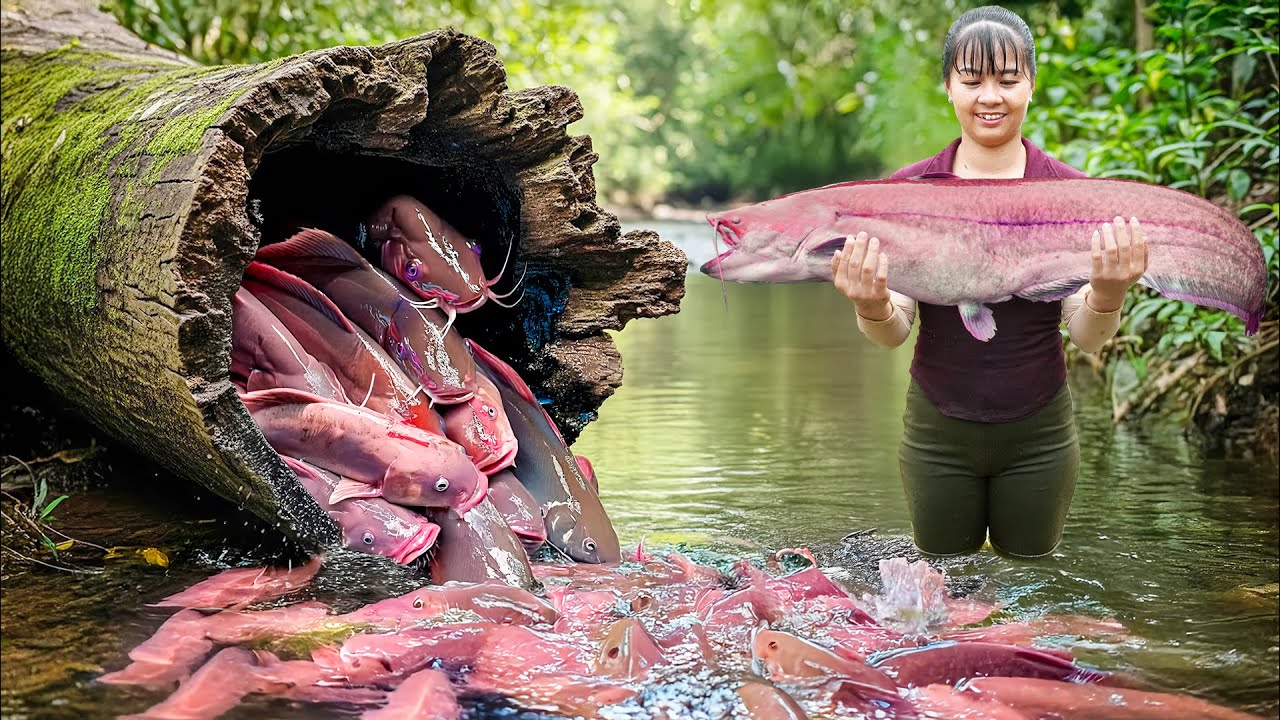 Dragging Nets to Catch Loads of Fish - Use 3-Wheeled Truck Transport Goes To Market Sell