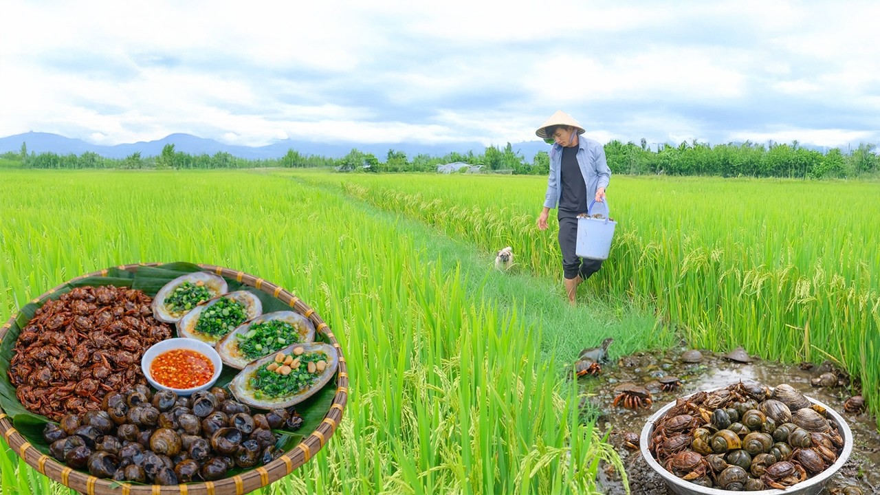 Go To The Fields To Harvest Crabs, Snails, Clams And Cook Childhood Dishes - Grow More Vegetables