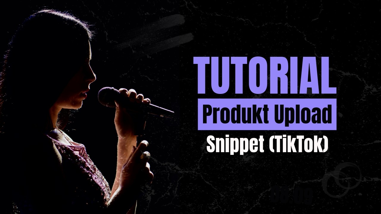 Snippet (H&ouml;rprobe) | Produkt Upload