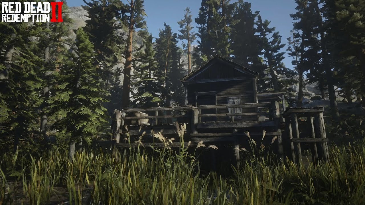 SWADBASS POINT - Red Dead Redemption 2