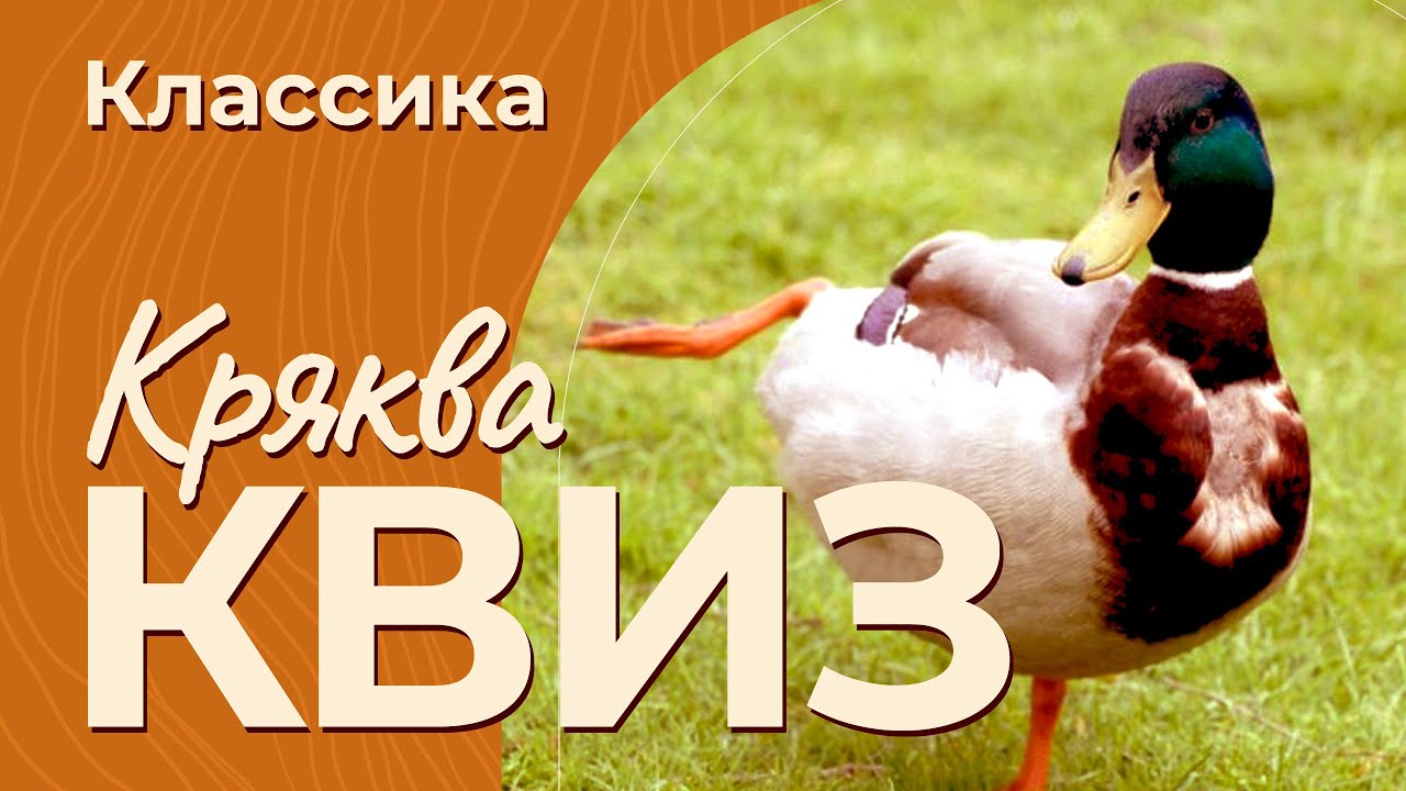КРЯКВА КВИЗ КЛАССИКА #6 — Викторина на логику и эрудицию