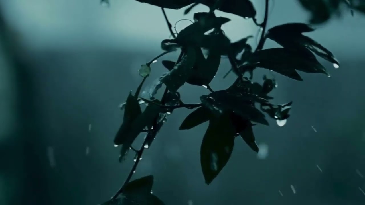 Calming Rain Visuals 🌧️ Relaxing Ambience for Sleep, Focus & Peace