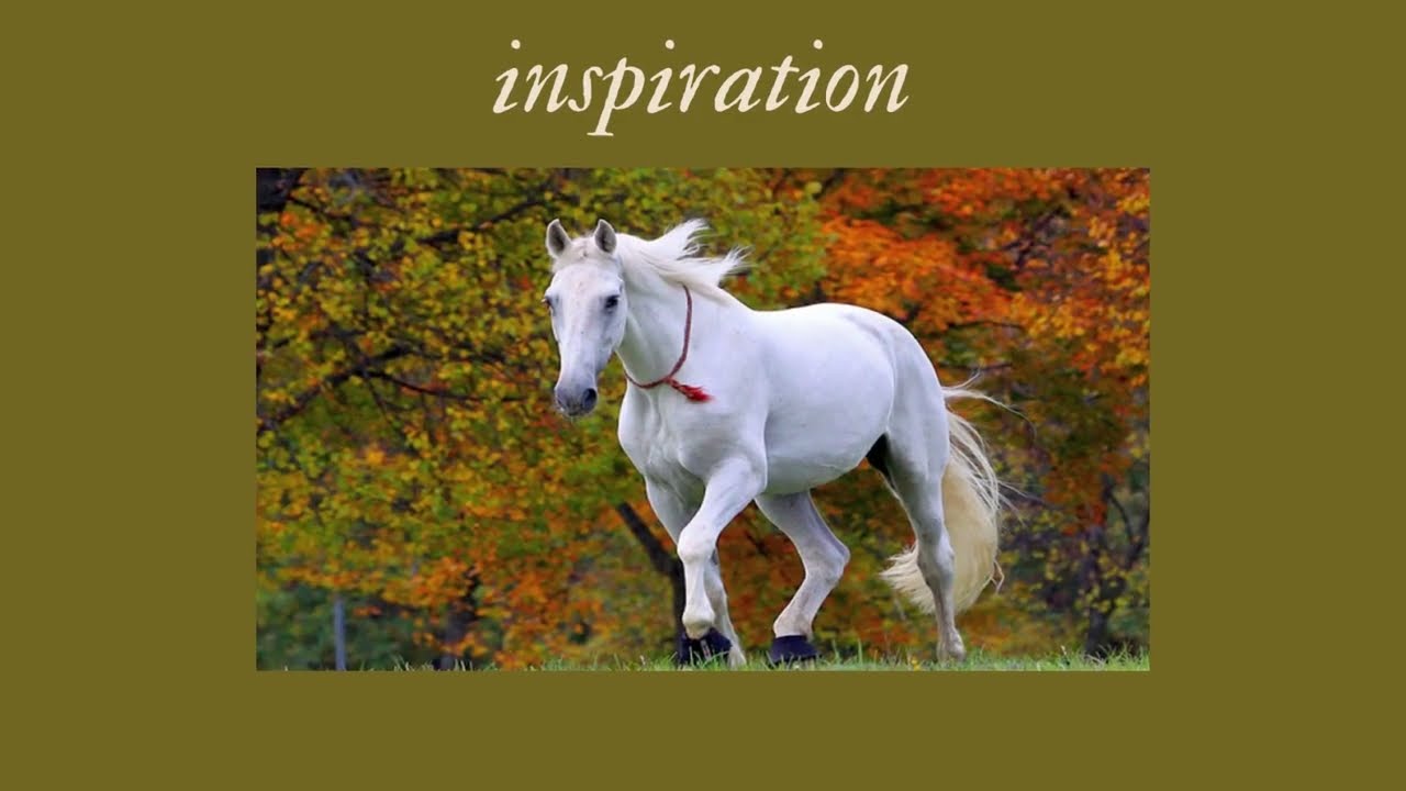 MOST beautiful Horses in the world-4k Nature (Ultra HD) | Nature's Sweet Tales.