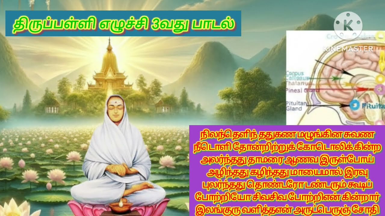 #வள்ளலார்/திருப்பள்ளி எழுச்சி ##திருவருட்பா ##அருட்பெருஞ் ஜோதி தனிப்பெருங் கருணை#