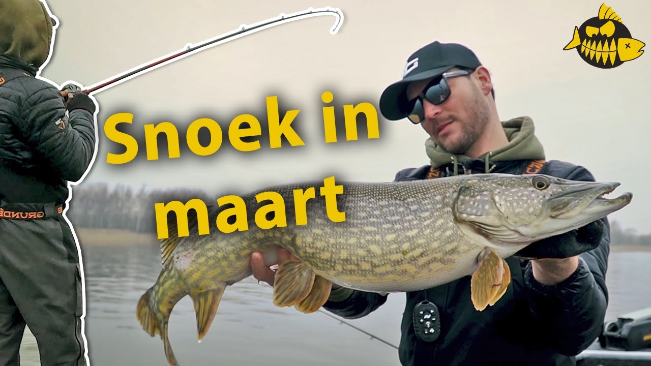 Snoekvissen in het voorjaar met Sean Wit! Zo vangt Sean meter snoeken