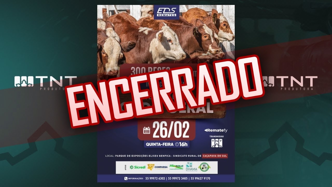 26/02 - Gado Geral EDS Remates | 16h