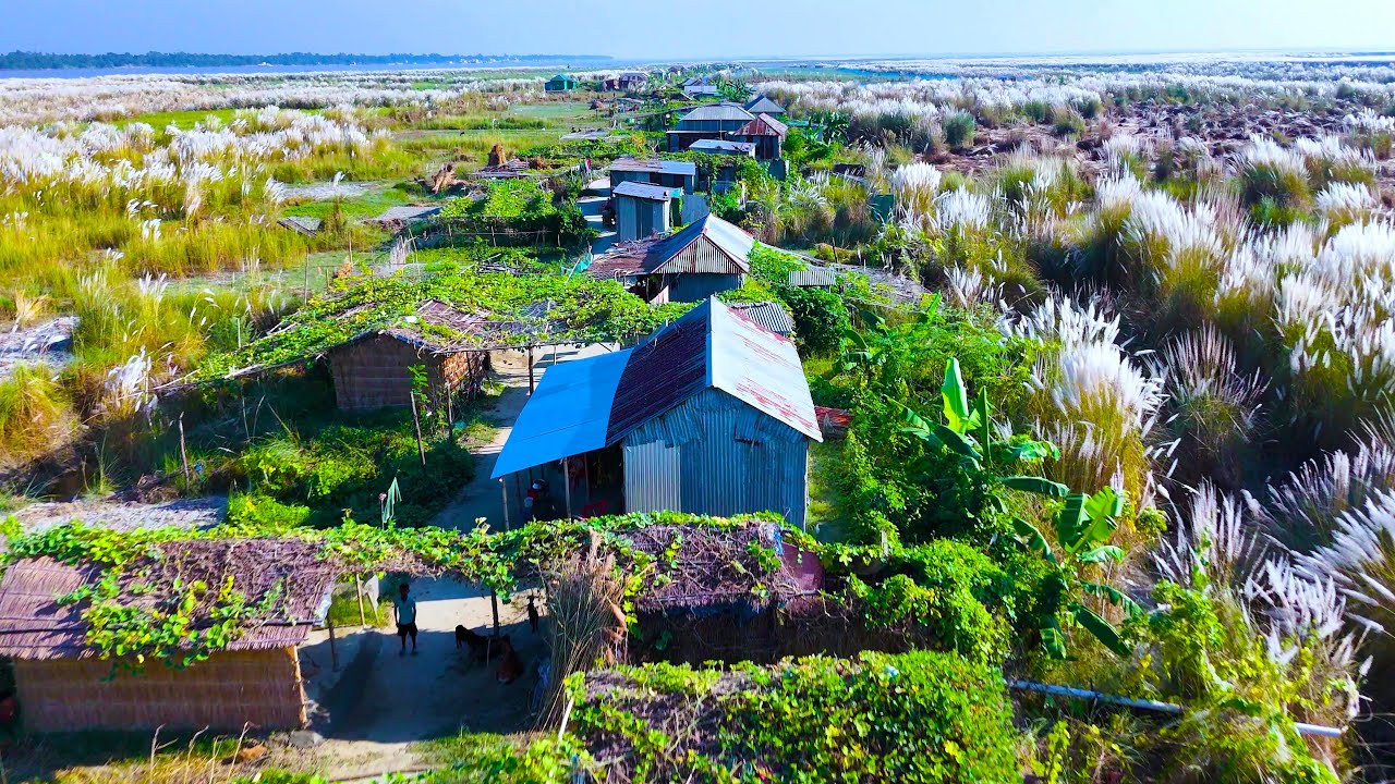 An Untouched River Island Village in Bangladesh  Hidden Beauty of the Reed Grass Fields and Stunning