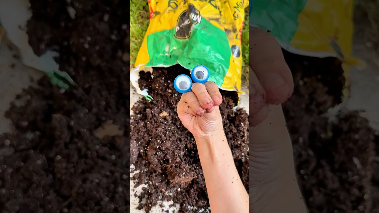 NO EATING DIRT!
