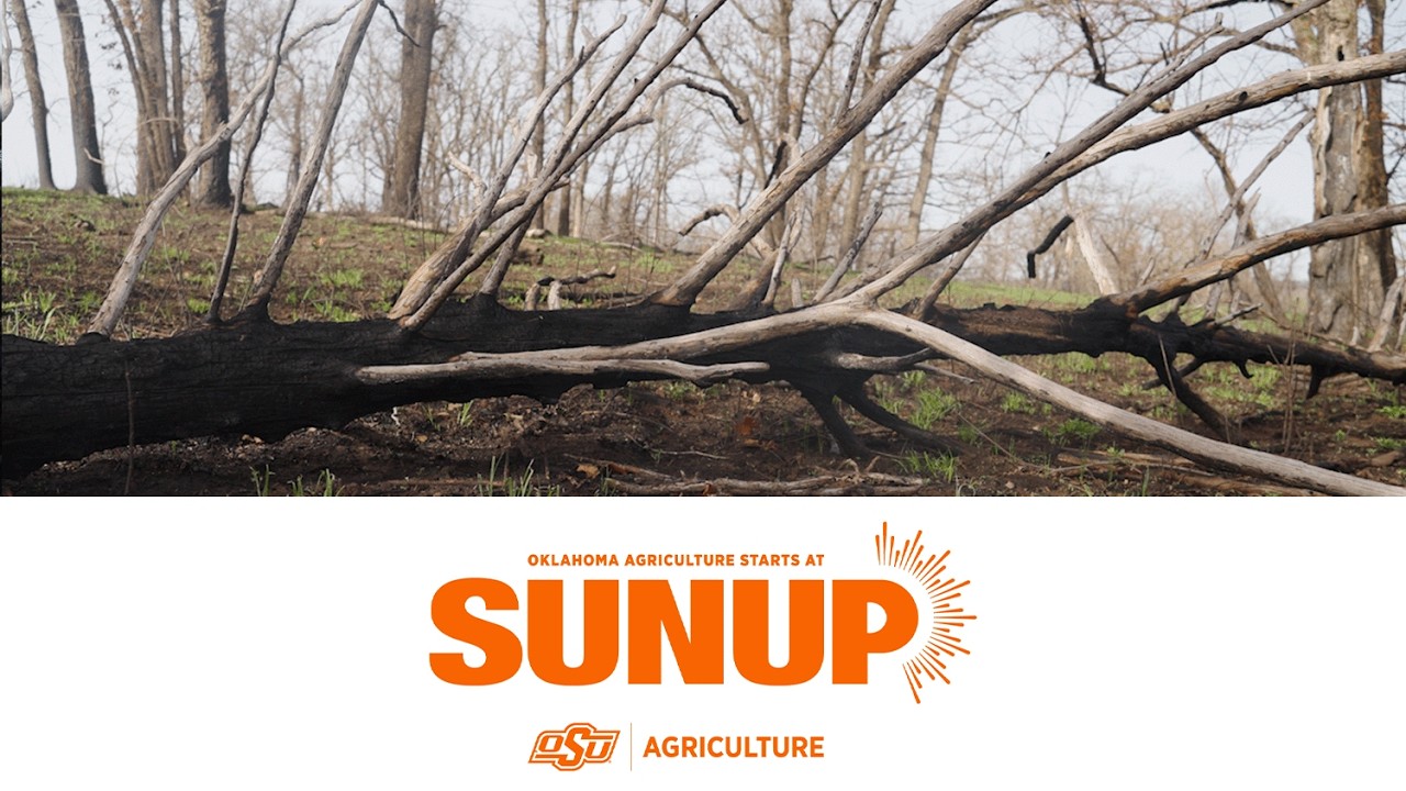 SUNUP Full Show (Feb. 14, 2026)