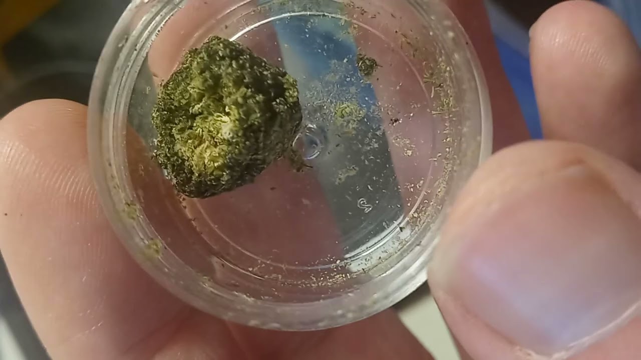 homade Bordeaux d8 moonrock thca cbda delta 8 alittle hhc mixd in