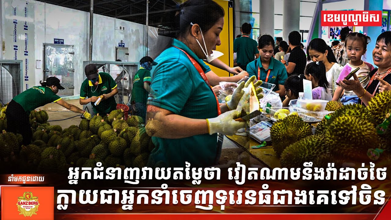 អ្នកជំនាញវាយតម្លៃថា វៀតណាមនឹងវ៉ាដាច់ថៃ ក្លាយជាអ្នកនាំចេញទុរេនធំជាងគេទៅចិន