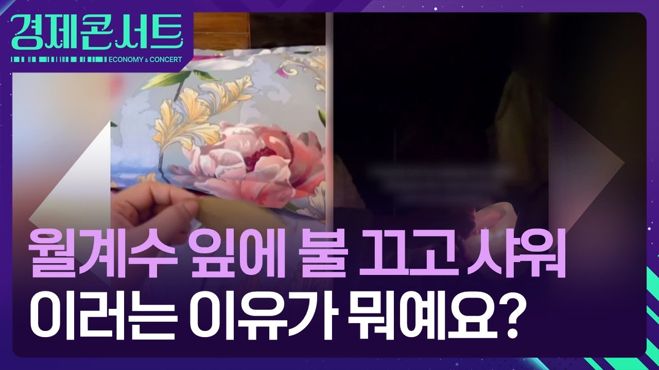 월계수 잎에 불 끄고 샤워까지…이러는 이유가? [경제콘서트] / KBS  2026.01.14.